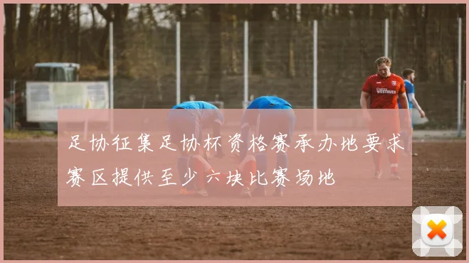 足协征集足协杯资格赛承办地要求赛区提供至少六块比赛场地