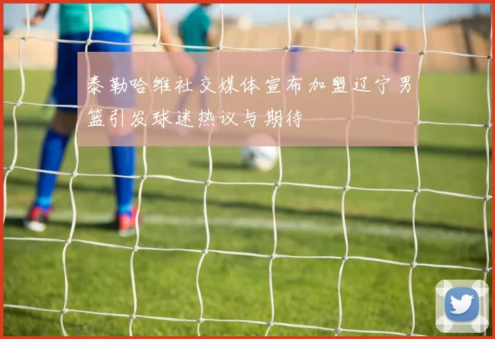 泰勒哈维社交媒体宣布加盟辽宁男篮引发球迷热议与期待