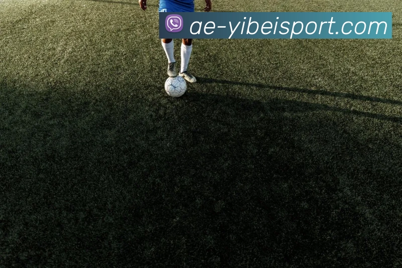 易倍体育APP 高清赛事图